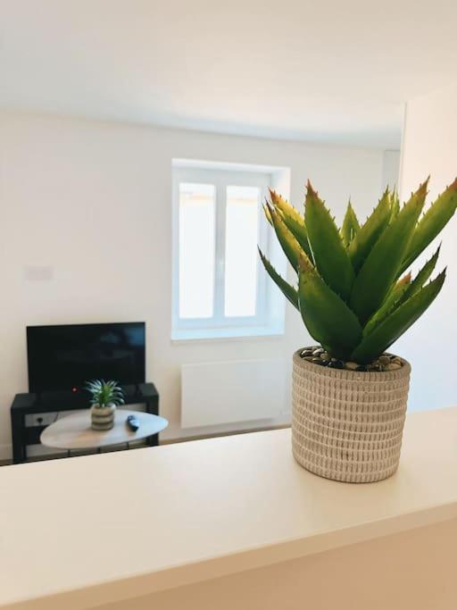 Le Studio - Cocon Scandinave - Parking Gratuit Pont-de-Veyle Extérieur photo